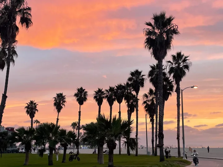 Palm trees against an orange and pink sunset along the Venice beach bike path
